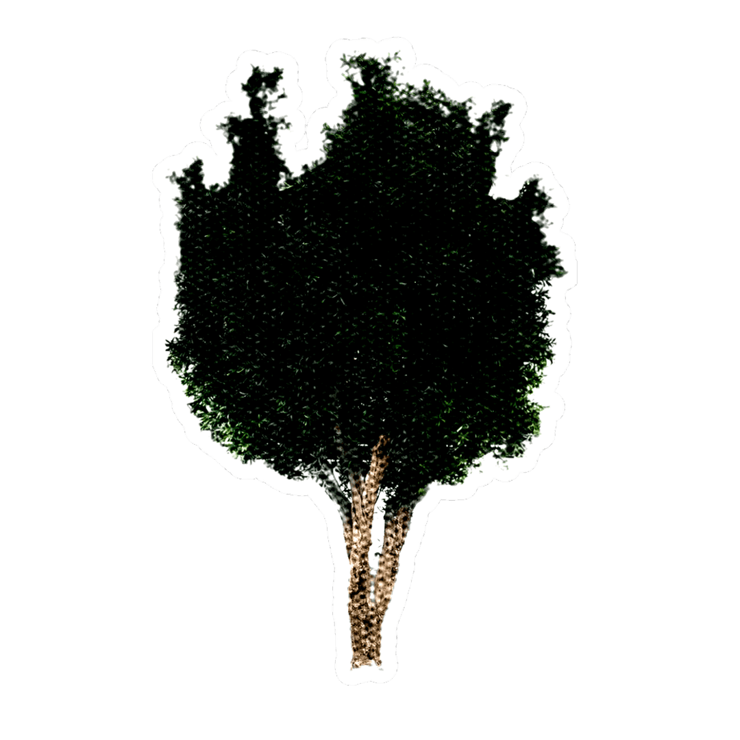 Tree cutout